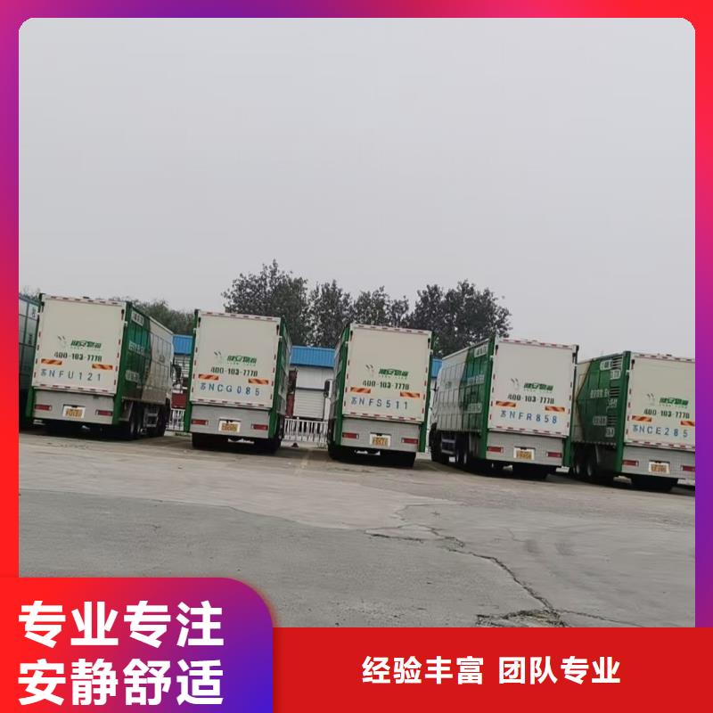 宿遷市沭陽到仔豬運輸及時送達