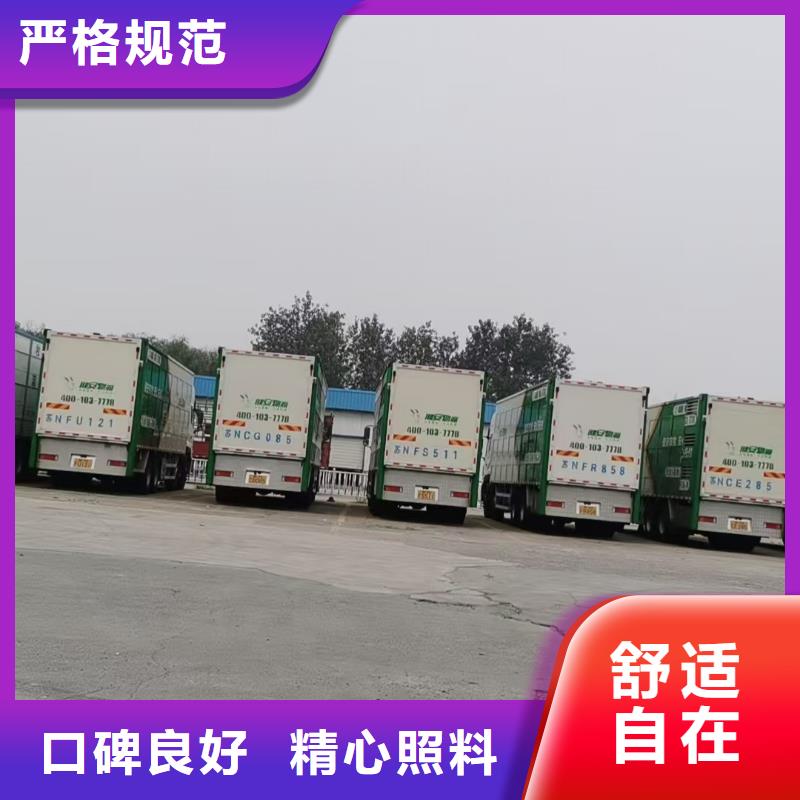 宿遷到種豬恒溫車運輸設(shè)備精良