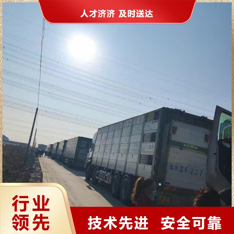 宿遷到仔豬空調(diào)車運(yùn)輸正規(guī)物流