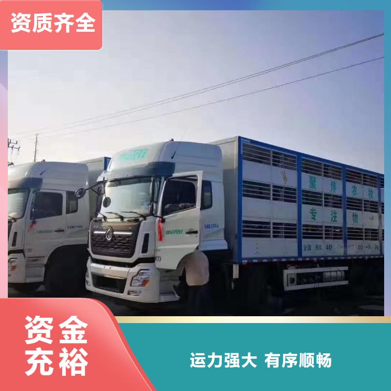 宿遷到仔豬空調(diào)車運(yùn)輸正規(guī)物流