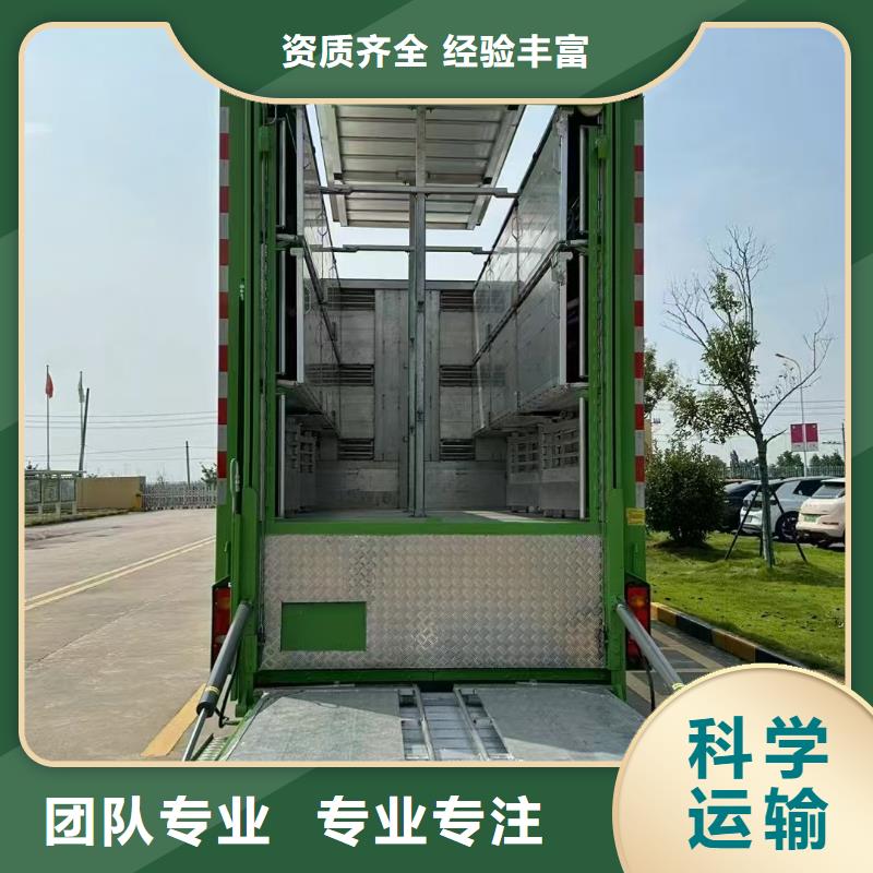宿遷市到豬只貿(mào)易舒適自在