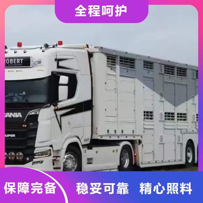 宿遷到活禽運輸車型豐富