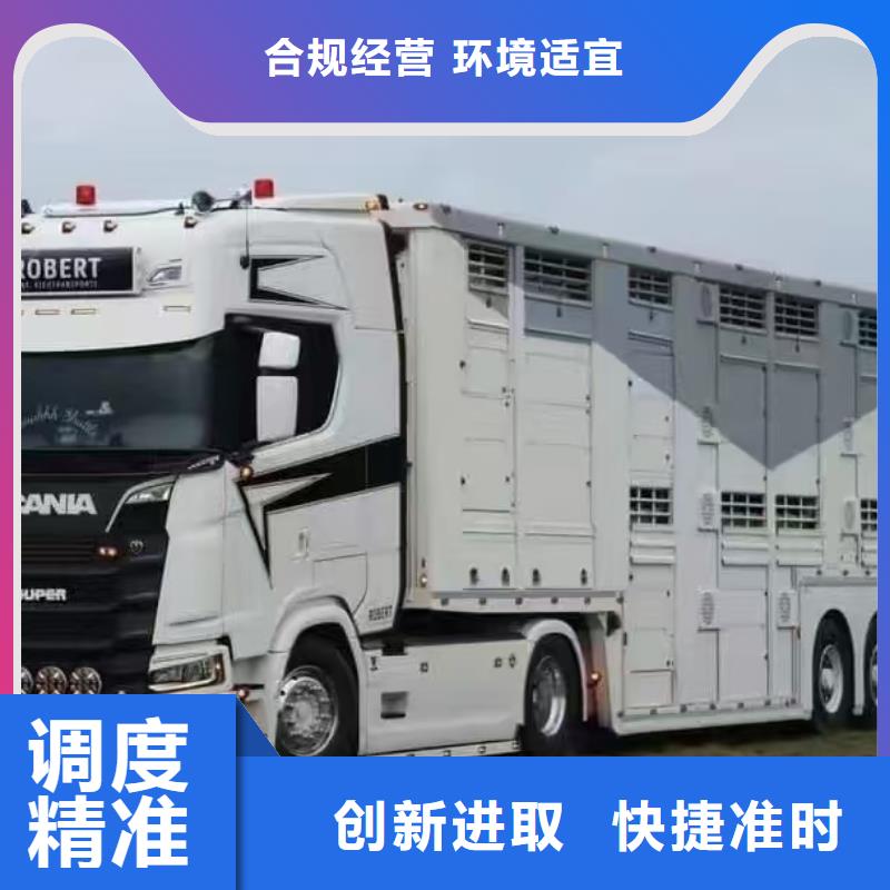 宿遷市沭陽到仔豬運輸及時送達