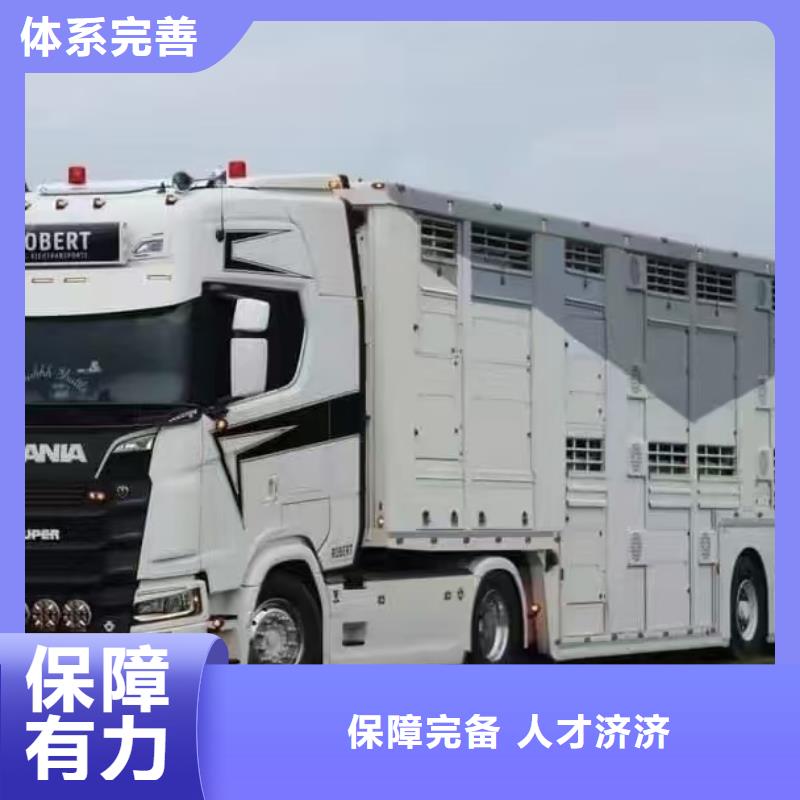 宿遷到羊運(yùn)輸資質(zhì)齊全