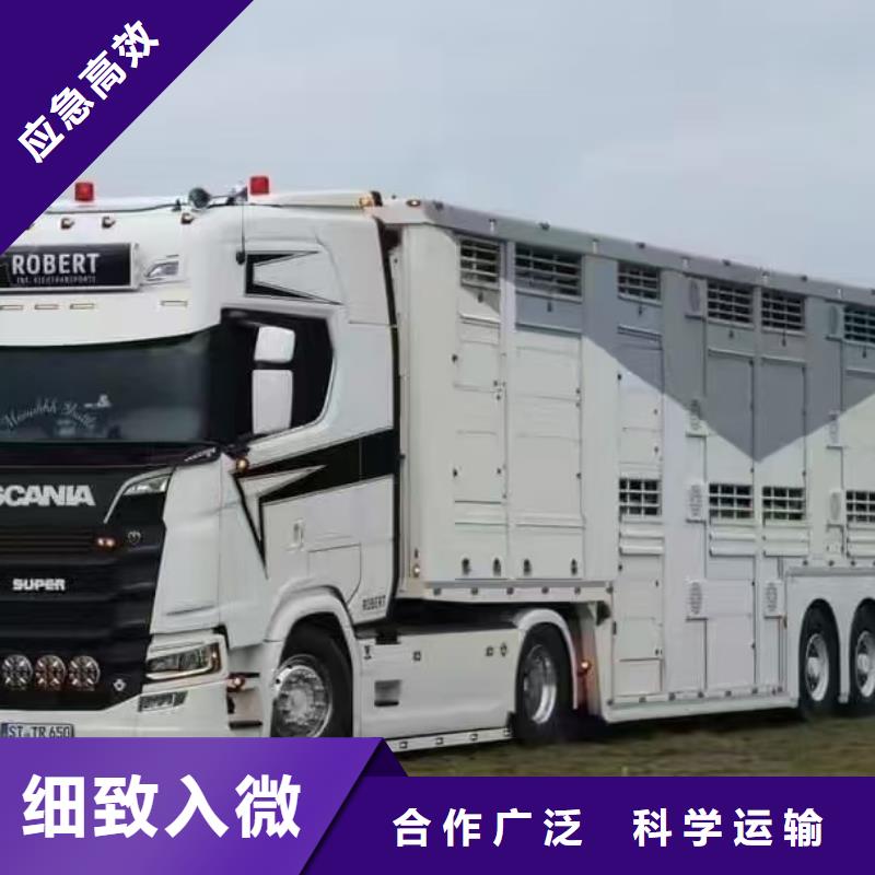 宿遷到牛運(yùn)輸專用車不倒車