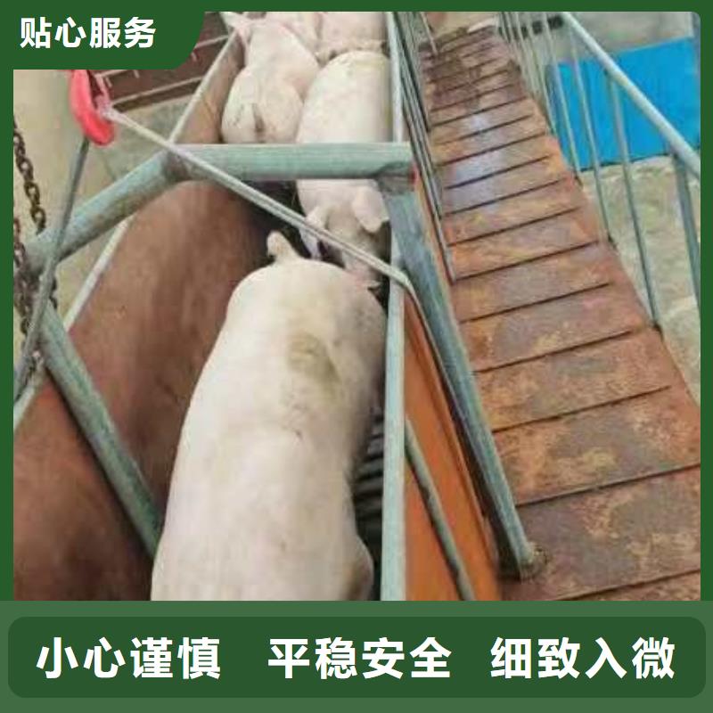 宿遷到豬籠車運(yùn)輸全程高速