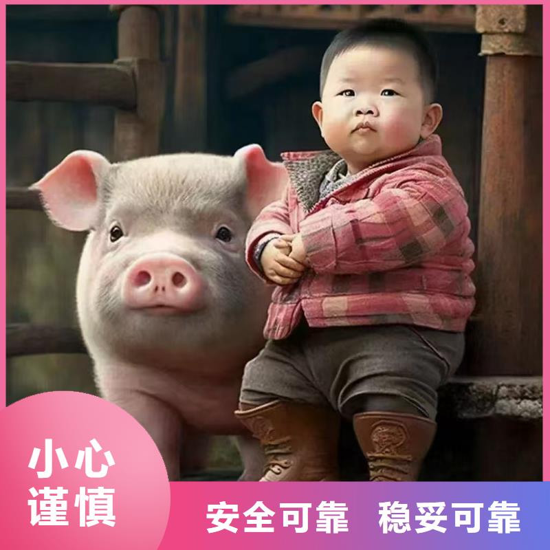 宿遷到畜禽運(yùn)輸規(guī)模宏大