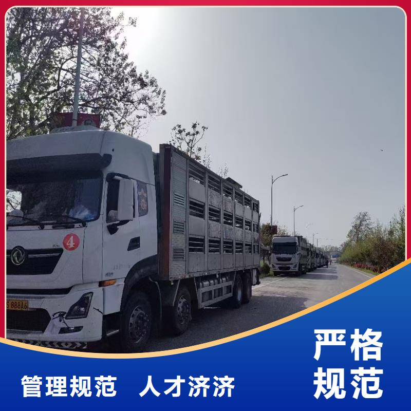 宿遷泗洪到豬籠車運輸