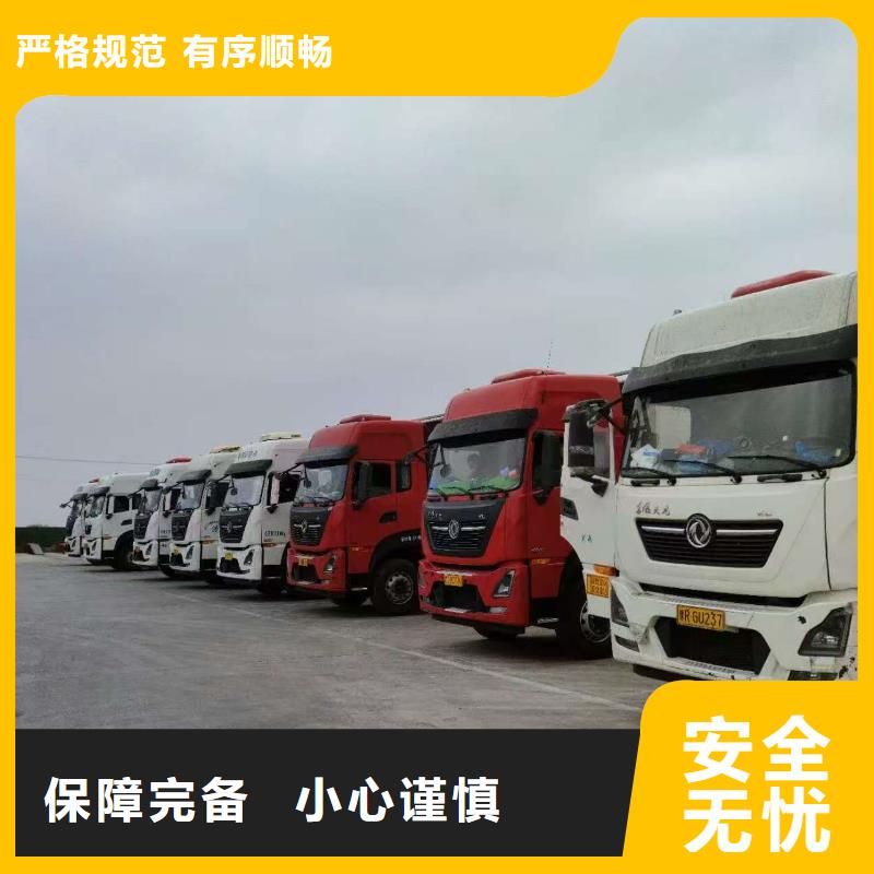 宿遷市泗洪到活禽物流精準無誤