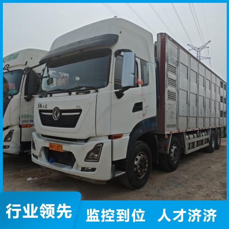 宿遷市沭陽到仔豬運輸及時送達