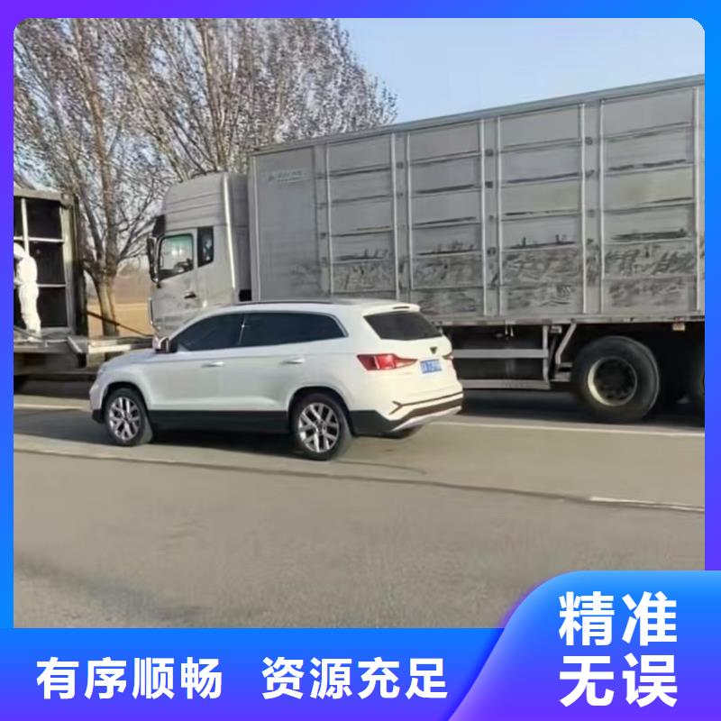 宿遷沭陽到畜禽運輸