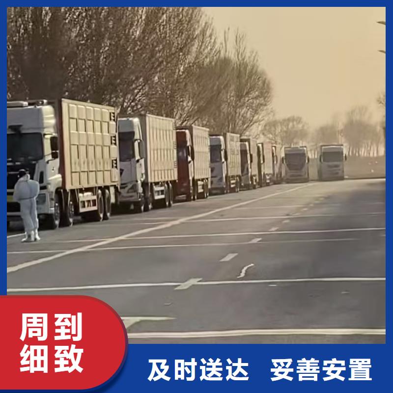 宿遷到豬只運(yùn)輸專用車支持到付