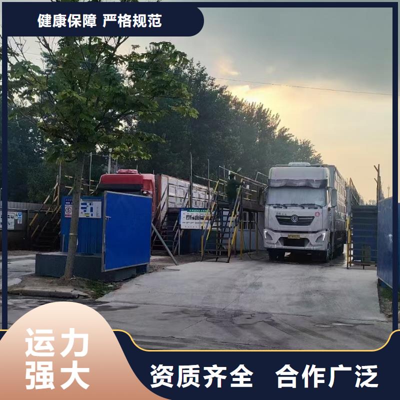 宿遷到仔豬空調(diào)車運(yùn)輸正規(guī)物流