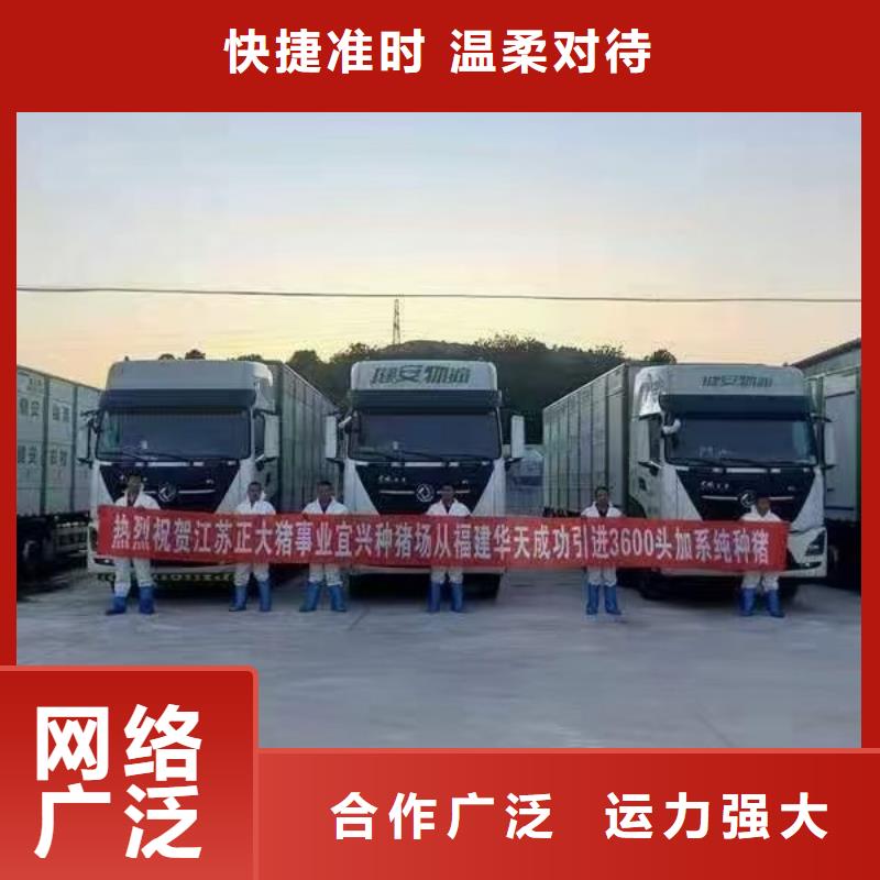 宿遷泗洪到豬籠車運輸