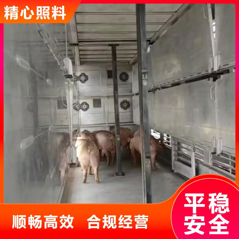 宿遷到種豬恒溫車運(yùn)輸設(shè)備精良