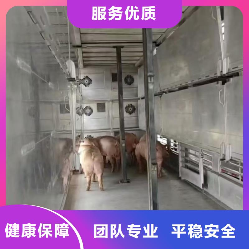 宿遷市泗陽(yáng)到牛運(yùn)輸專用車溫柔對(duì)待