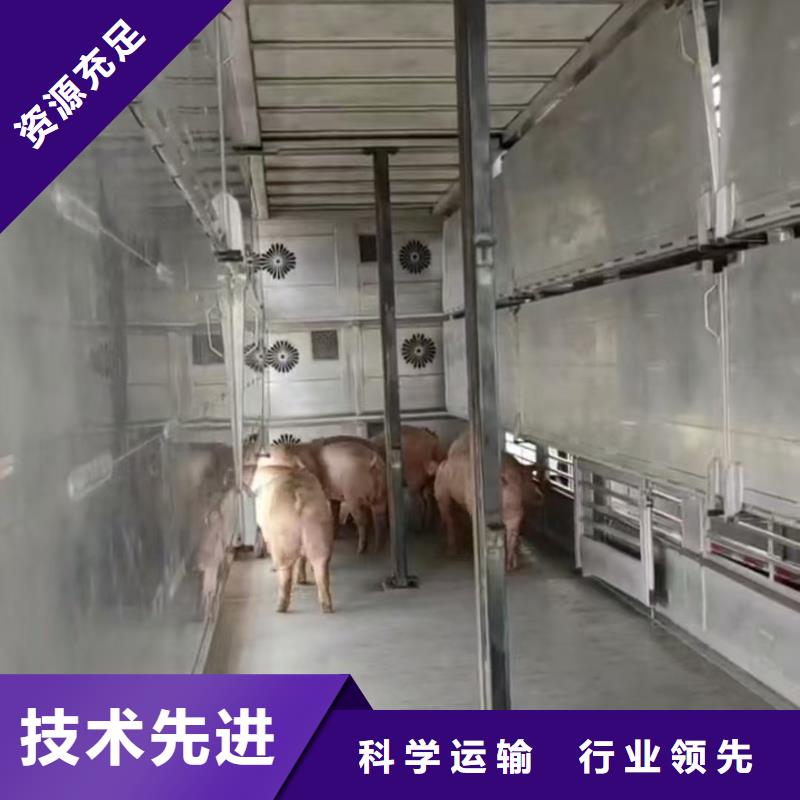 宿遷市沭陽到二育運(yùn)輸規(guī)模宏大