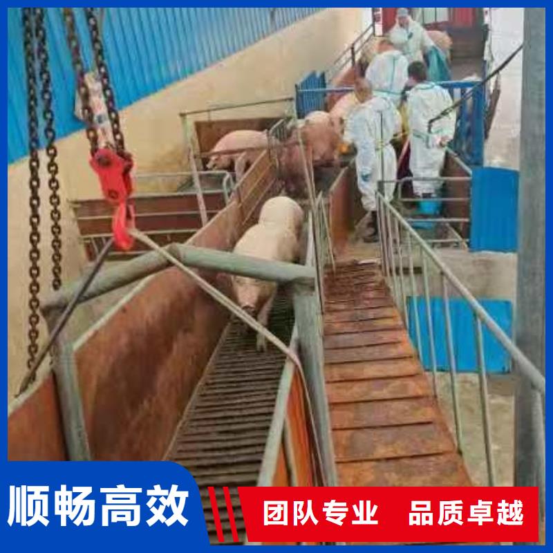 宿遷到農(nóng)牧運輸專線運輸