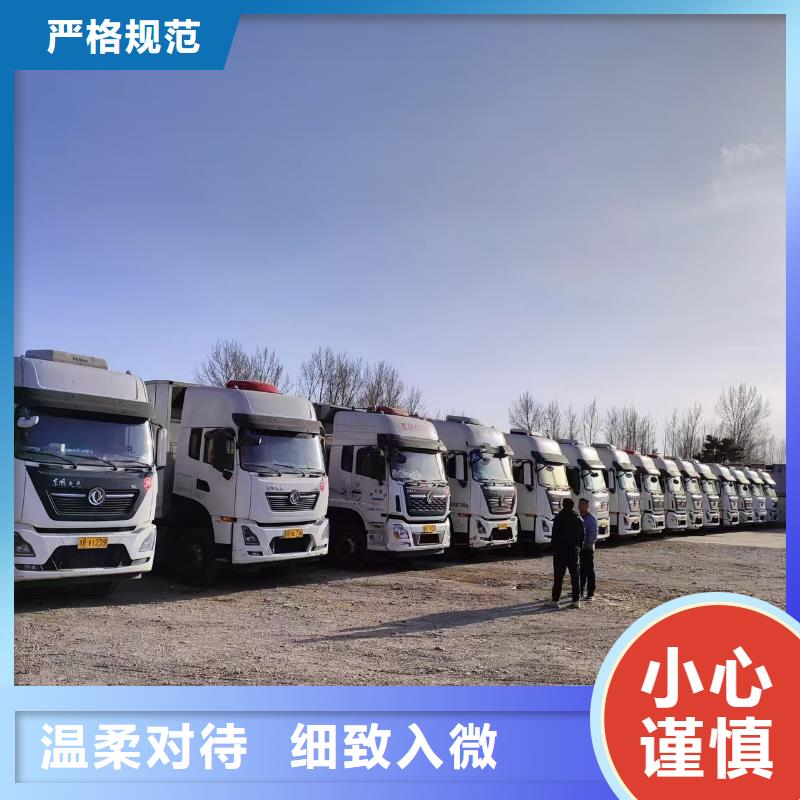 宿遷市沭陽到仔豬運輸及時送達