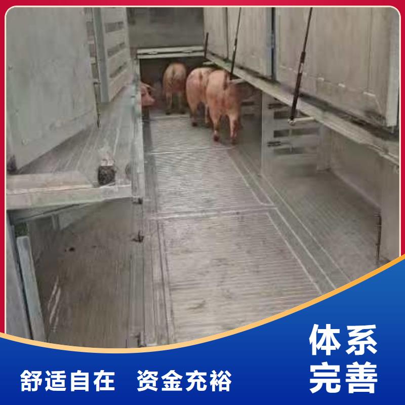 宿遷到種豬恒溫車運輸管理規(guī)范