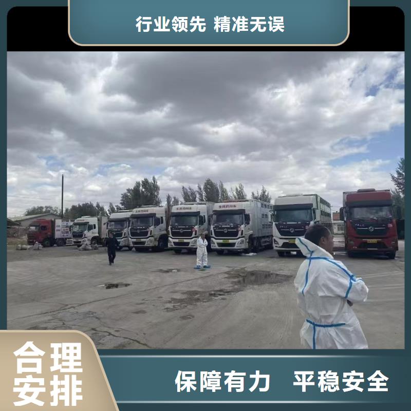 宿遷市泗洪到羊運輸專用車優(yōu)質