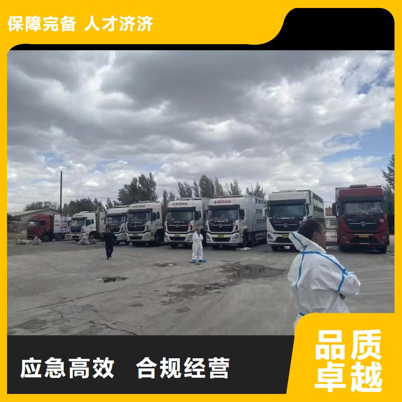 宿遷到仔豬空調(diào)車運(yùn)輸正規(guī)物流
