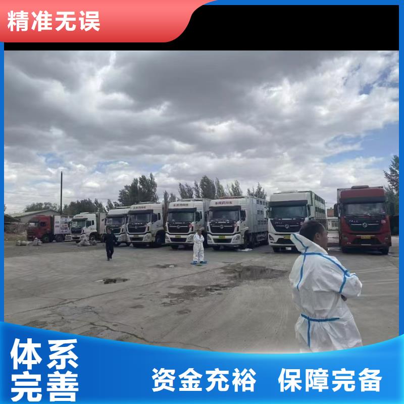 宿遷沭陽到畜禽運輸