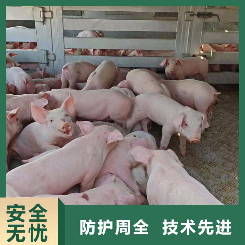 宿遷泗陽到二育運輸