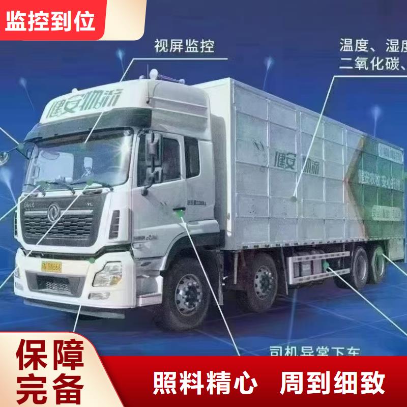 宿遷市泗陽(yáng)到牛運(yùn)輸專用車溫柔對(duì)待
