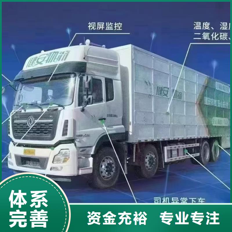 宿遷到畜禽運(yùn)輸耐心細(xì)致