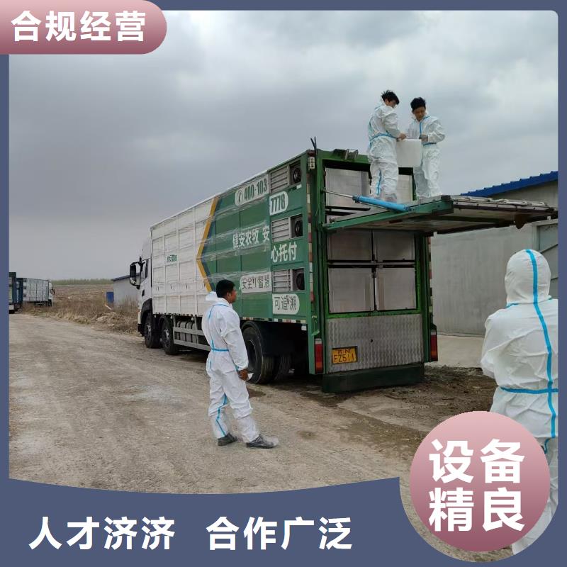 宿遷到牛運輸專用車行業(yè)領(lǐng)先