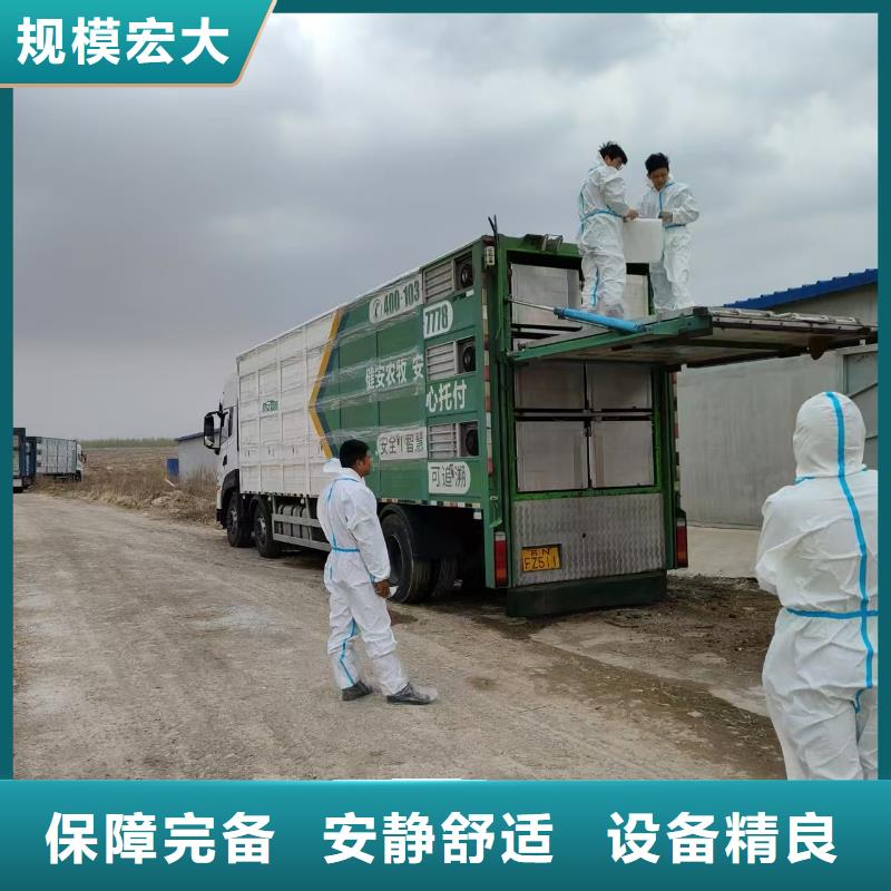 宿遷到農(nóng)牧物流老牌物流公司
