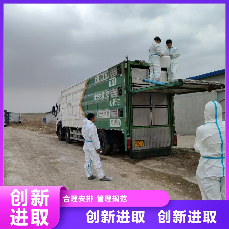 宿遷市到農(nóng)牧物流細(xì)致入微