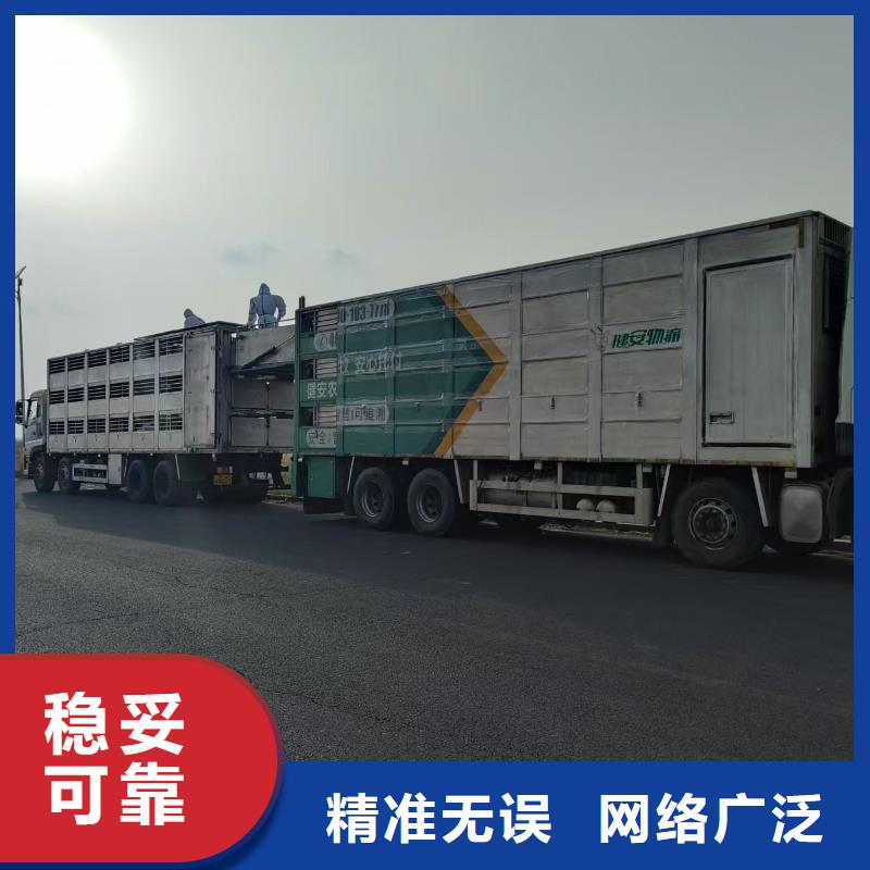 宿遷市沭陽到畜禽運輸行業(yè)領(lǐng)先