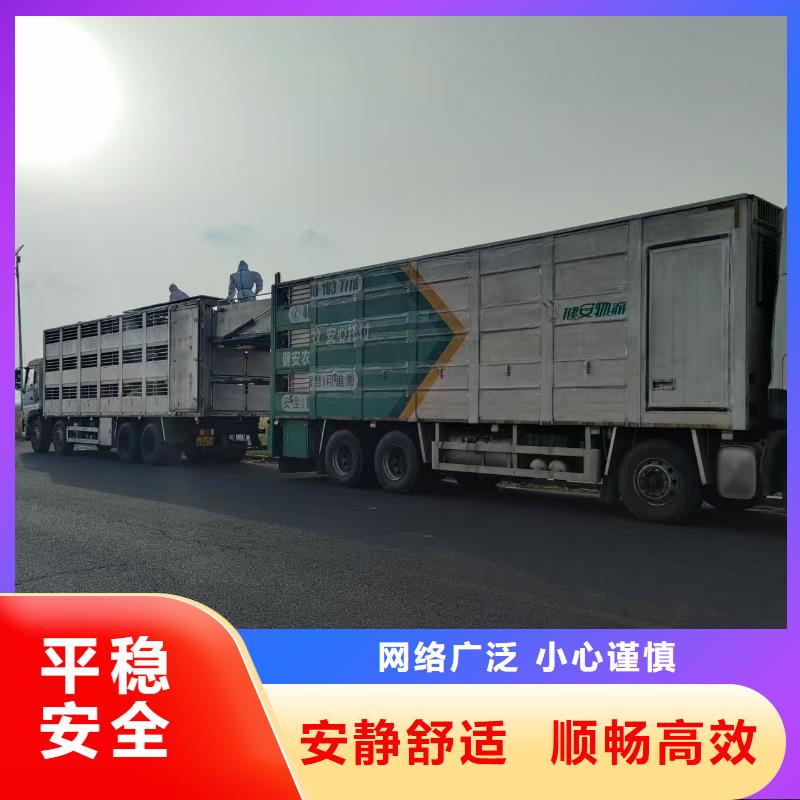 宿遷市泗洪到種豬空調(diào)車運輸細致入微