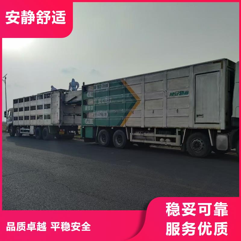 宿遷市沭陽到豬籠車運(yùn)輸嚴(yán)格規(guī)范