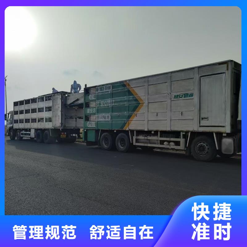 宿遷市泗洪到羊運(yùn)輸專用車(chē)優(yōu)質(zhì)