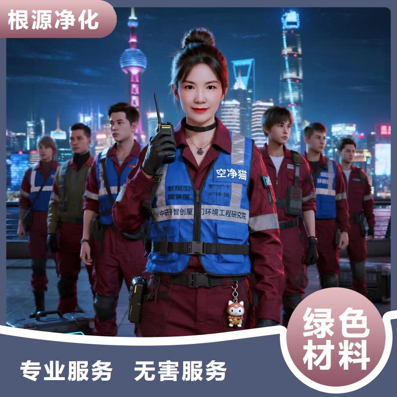 全国直营上门除甲醛检测治理品牌空净猫除甲醛,绍兴市新昌县七星街道七星商业中心 上门除甲醛检测治理公司 空净猫全国直营精准除味