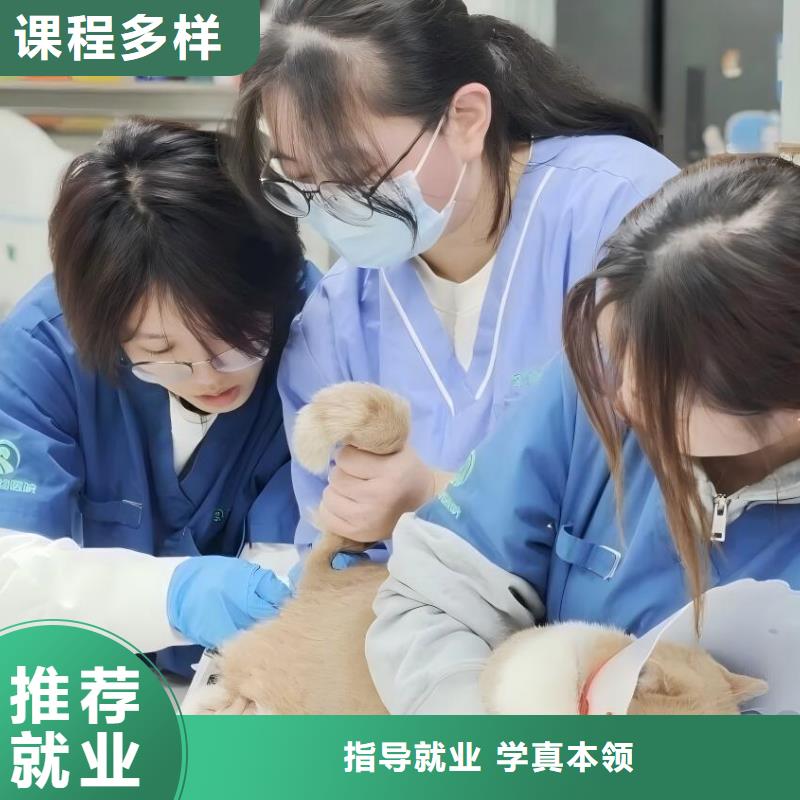 保定科技中专,护理专业就业