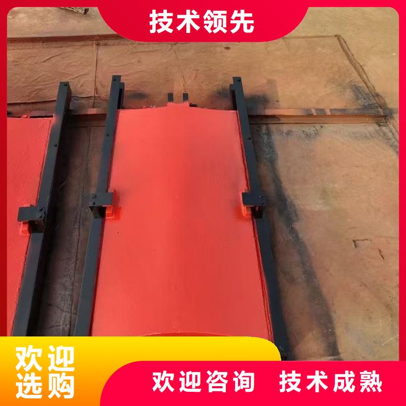 郴州水闸双止水铸铁闸门结构合理