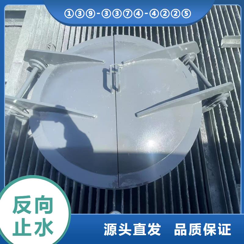 四川省泸州市铸铁拍门性能可靠