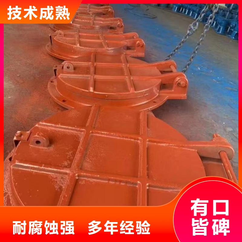 新乡市牧野区铸铁拍门产研一体