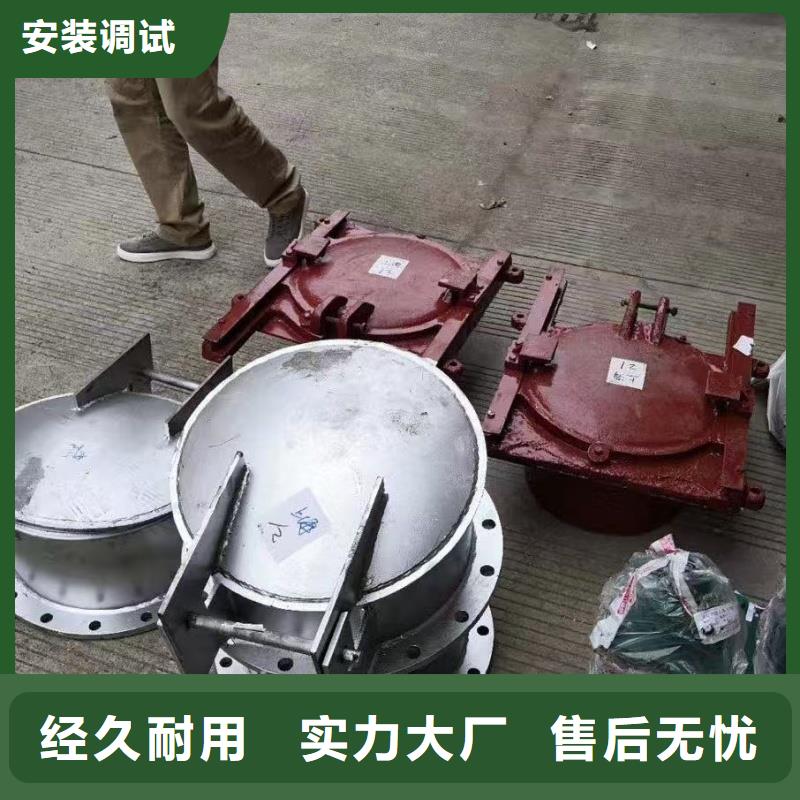 新乡市牧野区铸铁拍门产研一体