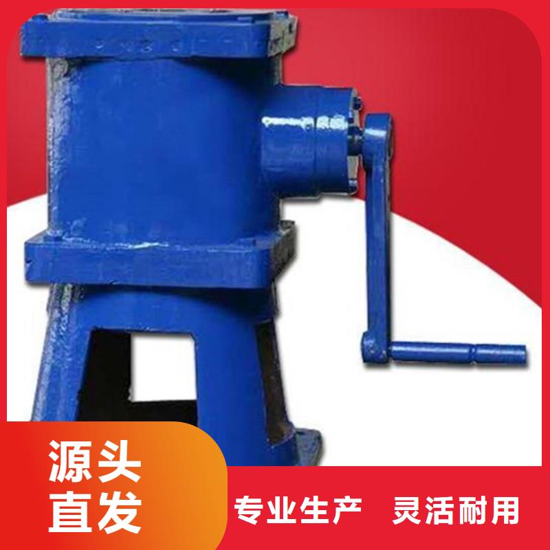 侧摇式螺杆启闭机实体