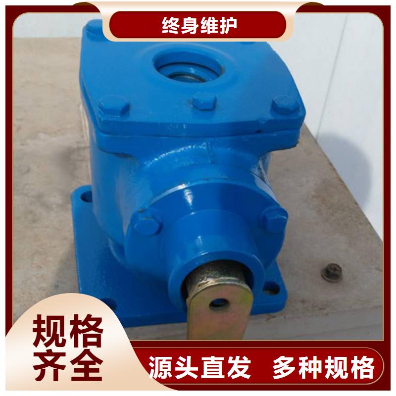 佳木斯平門卷?yè)P(yáng)式啟閉機(jī)研發(fā)生產(chǎn)銷售