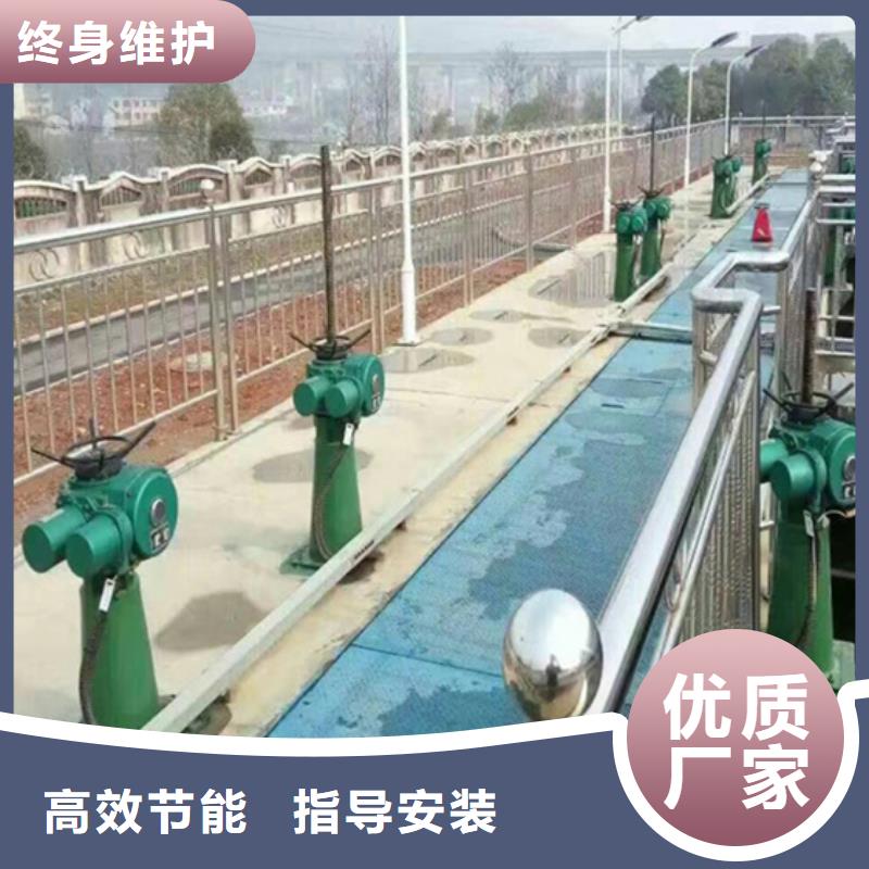 側搖啟閉機實力商家