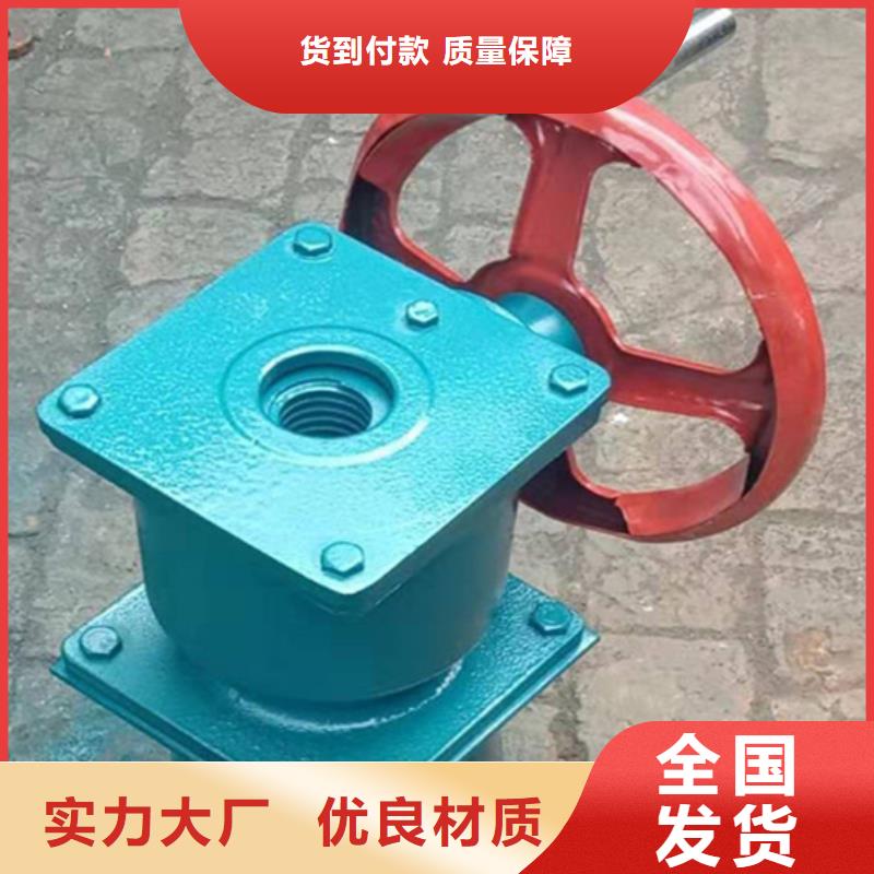 側(cè)搖式螺桿啟閉機(jī)甄選好