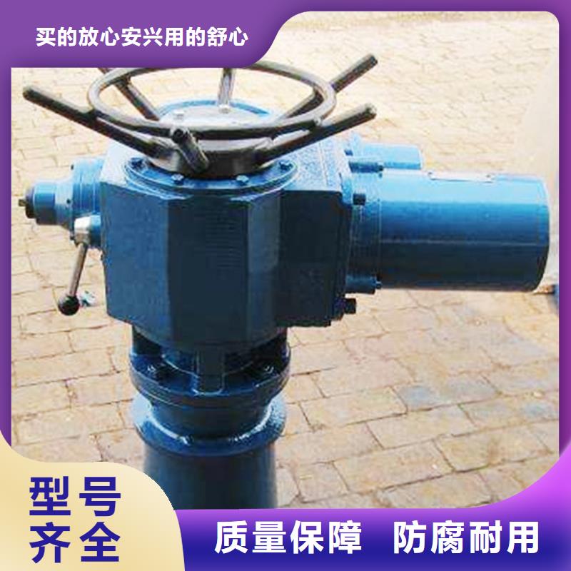 弧形門卷?yè)P(yáng)式啟閉機(jī)售后無憂