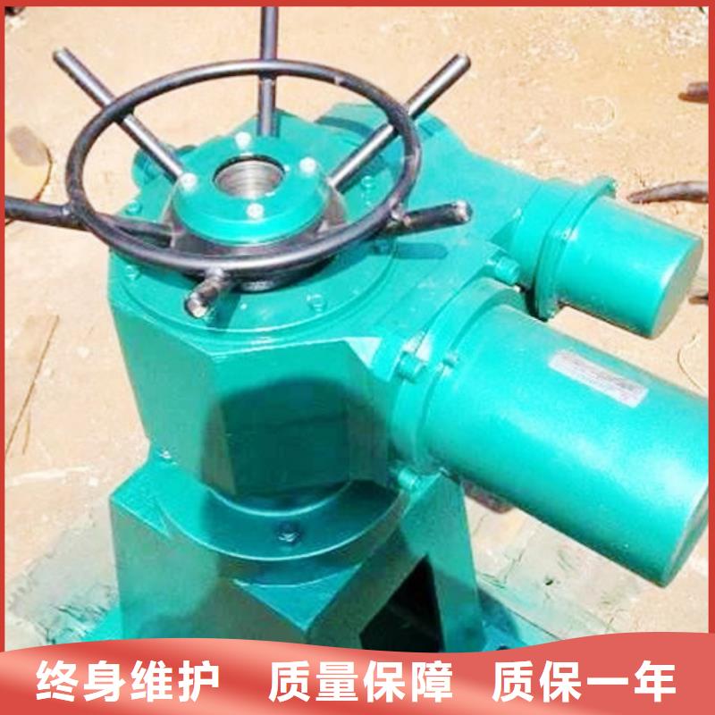 閘門啟閉機質優(yōu)價保