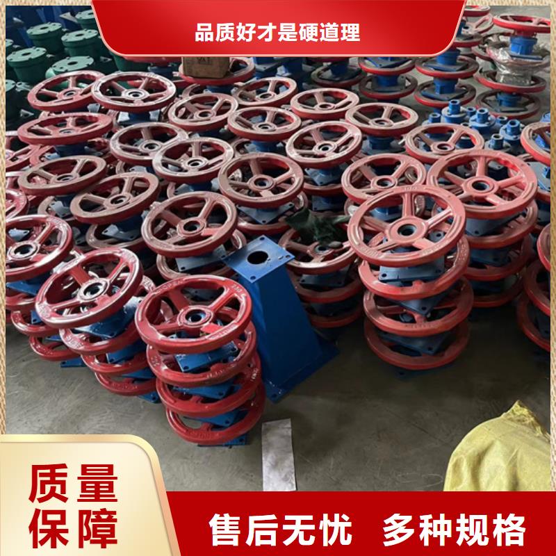 侧摇式螺杆启闭机实体